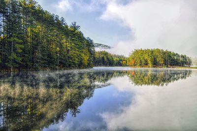 Scenic view of lake by trees against sky