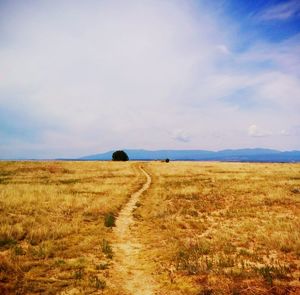 Scenic view of landscape against cloudy sky