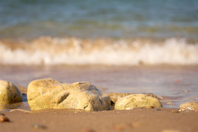 Close-up of rocks on beach