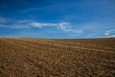 Scenic view of field against blue sky
