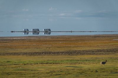 Camping cars on a lake