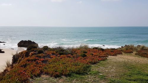 Scenic view of sea against sky