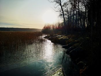 Scenic view of stream in forest against sky at sunset