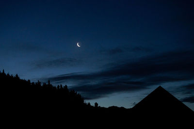 Low angle view of silhouette trees against sky at night