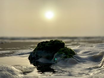 Rocks on beach against sky