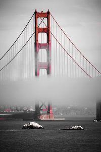 View of suspension bridge in city