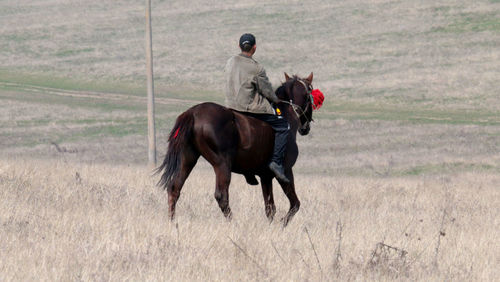 Man riding horse on grassy field