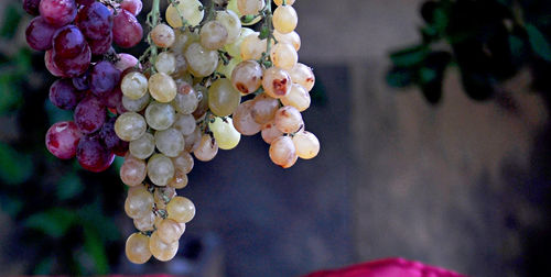 grape