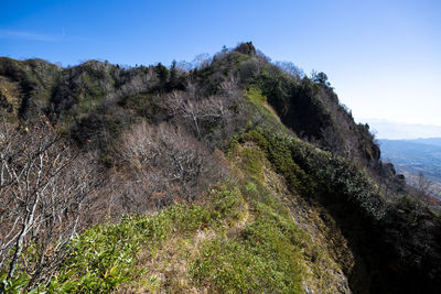 Scenic view of landscape against clear sky