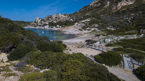 High angle view of trees and sea against sky