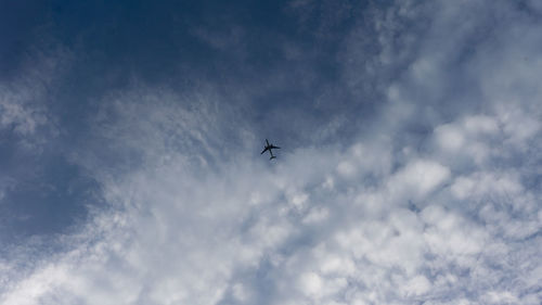 Low angle view of airplane flying in sky