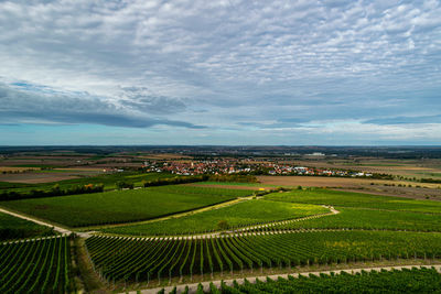 Scenic view of agricultural field against sky