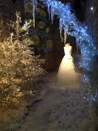 Illuminated christmas tree in snow