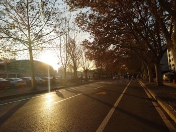 Road amidst trees against sky during sunset