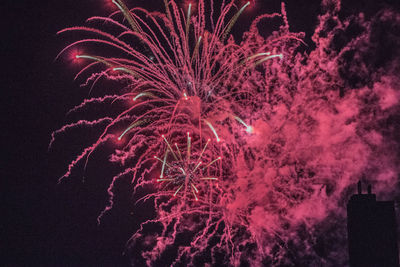 Low angle view of firework display at night