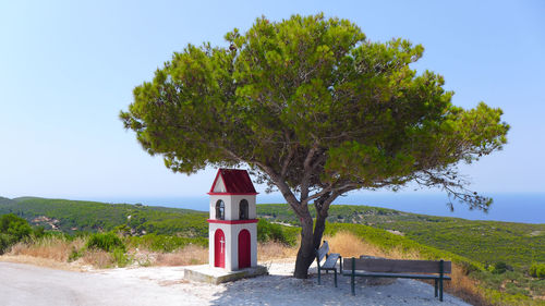 Tree by sea against sky