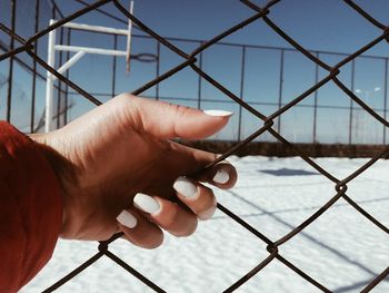 Close-up of hand holding chainlink fence