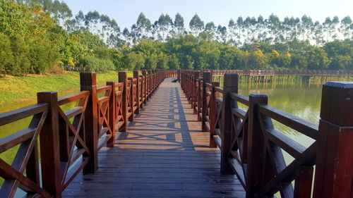 Boardwalk amidst trees in forest against sky