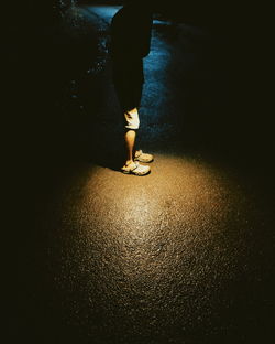 Low section of woman standing on floor