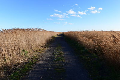 View of footpath in field against sky