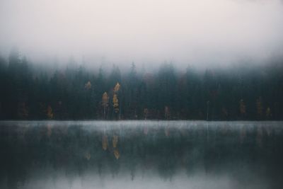 Reflection of trees in lake during foggy weather