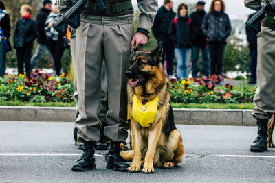 Low section of people with dog on street