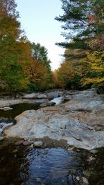 River amidst trees in forest against sky