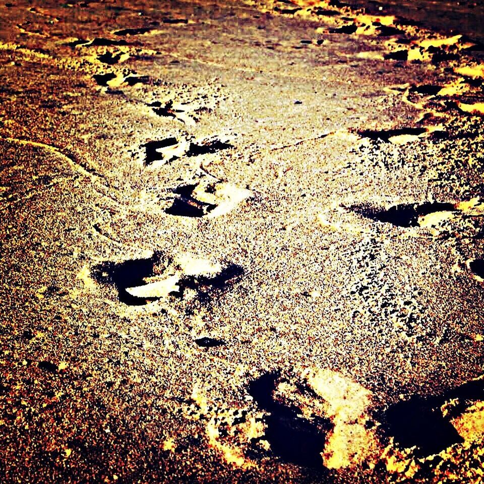 sand, beach, high angle view, shore, sunlight, footprint, nature, shadow, leaf, street, outdoors, tranquility, water, day, asphalt, wet, puddle, ground, no people, fallen