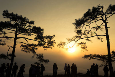 Silhouette people by trees against sky during sunset