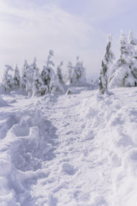 Close-up of snow covered land against sky