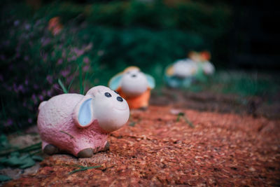 Close-up of stuffed toy on field