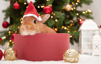 Close-up of christmas decorations on table