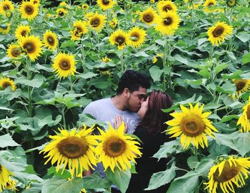 Couple kissing while standing by sunflowers