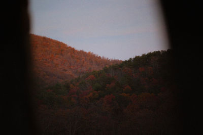 Scenic view of trees against sky during autumn