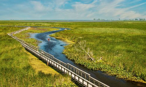 Scenic view of agricultural field