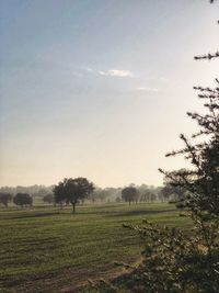 Scenic view of field against sky
