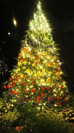 Illuminated christmas tree against sky at night