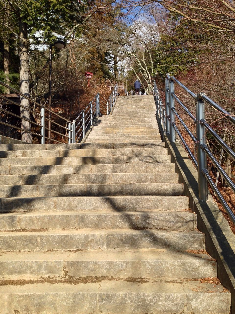 the way forward, tree, railing, diminishing perspective, steps, steps and staircases, vanishing point, staircase, footbridge, built structure, architecture, sunlight, walkway, footpath, day, outdoors, connection, no people, narrow, long