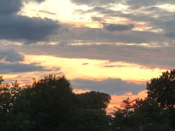 Low angle view of silhouette trees against sky during sunset