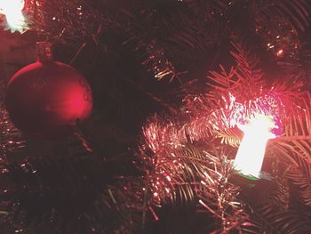 Illuminated christmas tree at night