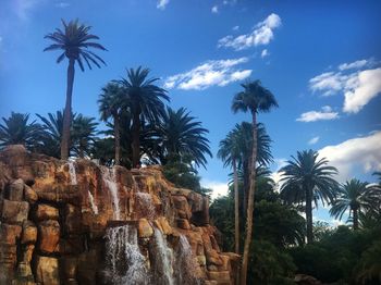 Low angle view of palm trees against sky