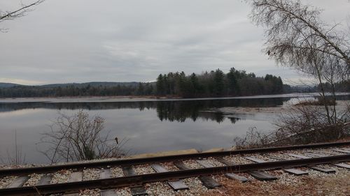 Reflection of trees in lake