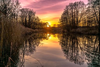 reflection