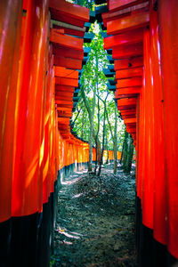 Red lanterns hanging on tree