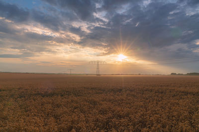 Scenic view of field against sky during sunset