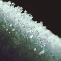 Macro shot of ice