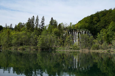 Scenic view of lake in forest against sky