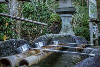 Water fountain against trees