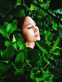 Woman looking away amidst plants