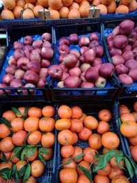 Fruits for sale at market stall